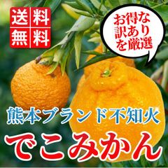 毎年大好評!! 熊本ブランド 不知火でこみかん（訳あり）約5kg輸送中劣化保障込み： みかんの王様 本場熊本産だから甘い！