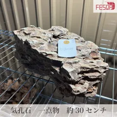 2025年最新】気孔石の人気アイテム - メルカリ