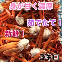 新鮮激ウマ！北海道小樽産！紅ズワイ蟹セクション3キロ送料込み9800円
