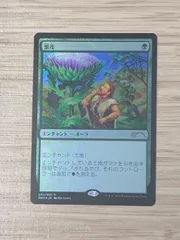 MTG 繁茂 foil 中国語 - eface.in