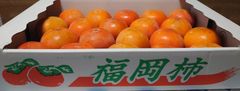 福岡産 富有柿 秀 20玉 甘くて美味しい❗