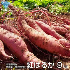 紅はるか 9kg 化学肥料・農薬不使用 鹿児島県産 宮崎県産 土付き さつまいも 薩摩芋 サツマイモ からいも べにはるか 国産 スイートポテト 焼き芋 令和7年度産