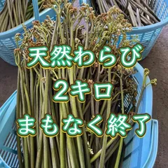 imgrc0081556442.jpg