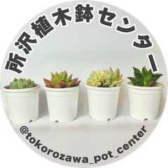 茶ぱぷ様専用ページ - 【公式】所沢植木鉢センター - メルカリ