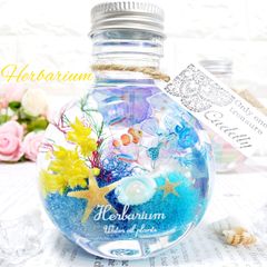 海ハーバリウム マリン 海 熱帯魚 ギフト インテリア