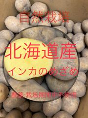 北海道産　自然栽培インカのめざめSサイズ4kg 無化学肥料　農薬:栽培期間中不使用