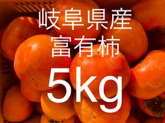 岐阜県産富有柿　5キロ