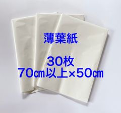 Item thumbnail for item c82fc8e0-1a3b-4c14-ba95-feaa911aac1f