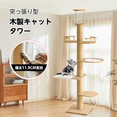 Item thumbnail for item 1a6e822a-ce10-4dee-9934-266a74bc5fd9