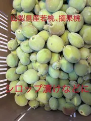 山梨県産若桃摘果桃農薬除草剤不使用♡♡桃酒加工用