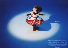 【中古】キャラカード ミニーマウス(スポットライト) 写真 「イマジニング・ザ・マジック“10イヤーズ・オブ・ドリームス＆マジック” 第1弾」 東京ディズニーリゾート限定