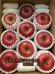 青森県産りんご「サンふじ」家庭用 キズ有 約3kg【産地直送・光センサ選果】