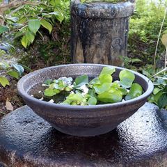 天然石 自然石 蹲 水鉢 ししおどし つくばい 和風庭園 石鉢 ちょうず鉢