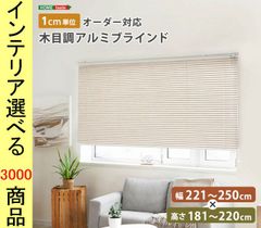 最終値下げ】未使用 ハニカムシェード シアーライトグレージュ 165×220