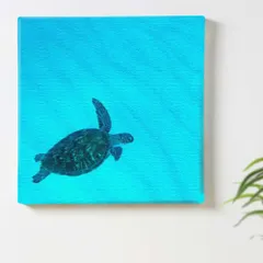 新品未使用】daum ウミガメ