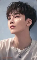 【中古】コレクションカード(男性) SEVENTEEN/JEONGHAN(ジョンハン)/背景青/CD「JAPAN 2ND SINGLE『舞い落ちる花びら(Fallin’ Flower)』」Loppi・HMV特典オリジナルスペシャルフォトカード