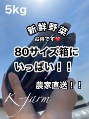 80サイズ箱いっぱい　産地直送　農家直送　朝採り　新鮮野菜　野菜　ナス　茄子
