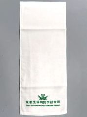 [중고] 수건·수건 동도 첨단물질학연구소(조품풍) 롱타월 [이치반쿠지 가면라이더 빌드 ~Building a New World~] F상