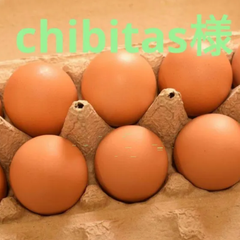 chibitas様専用 訳あり卵20個