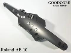 2025年最新】roland ae-10の人気アイテム - メルカリ