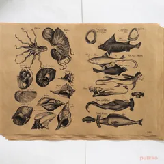 2025年最新】版画 魚の人気アイテム - メルカリ 2025年最新】版画 魚の人気アイテム - メルカリ