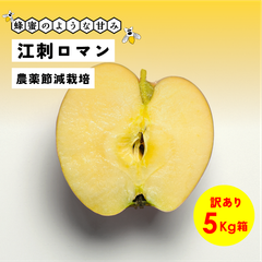 蜂蜜のような濃い甘さが魅力！ 9月収穫 幻のリンゴ 「江刺ロマン5キロ箱訳あり品」農林水産大臣賞 長野県産 安曇野 信州産 幻