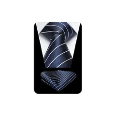 [HISDERN] ビジネス ネクタイ メンズ ネイビー フォーマル ネクタイ ストライプ ポケットチーフ セット ブランド品 就活 成人式 紳士用 HTS0638V18S