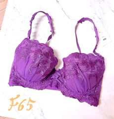 パープルブラ (F65)         T040