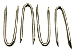 Item thumbnail for item bc48c6dd-36ec-4c81-89be-1dce96662306