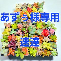 あずぅ様専用