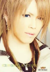 【中古】生写真(男性) vistlip/Tohya/CD「STRAWBERRY BUTTERFLY」Brand X(ブランド エックス)特典生写真