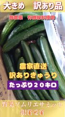 割引クーポンで100円引き！20キロ弱！リピーター続出！デカきゅうり！　野菜ソムリエサミット銀賞受賞　農家直送　減農薬　有機肥料　ちょいデカきゅうり　訳あり　20kg