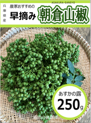 【予約受付中】西播磨朝倉山椒（実山椒）あすかの露　250g