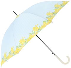 新着商品】花瓶 ガラス花瓶 てびねりミニ花器 ホワイト アデリア [直径約7.7x高さ12.9cm] 日本製 9571 - メルカリ