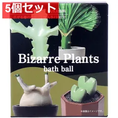 2026年最新】ユーフォルビア ホワイトゴーストの人気アイテム - メルカリ