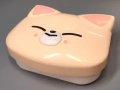 【中古】雑貨 アイエン(Stray Kids) SKZOO MINI BOX Foxl.Ny 「Stray Kids World Tour ＜ dominATE JAPAN ＞」 オンラインくじ D賞