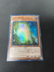 太古の白石　スーパー