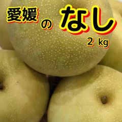 愛媛の梨　2キロ　訳あり家庭用　※只今、幸水梨を出荷中です　旬の梨を幸水梨．豊水梨．秋月．新高梨その他4種不選別不揃いフルーツくだもの