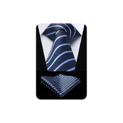 [HISDERN] ネービー ネクタイ メンズ ビジネス ネクタイ チーフ セット ドット柄 おしゃれ ネクタイ ブランド 結婚式 ビジネス 入学式 卒業式 就活 プレゼント by