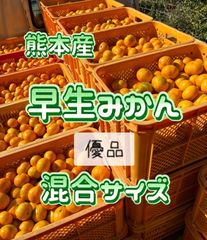 みんみん様専用日南大玉サイズ20kg - まえだのみかん - メルカリ