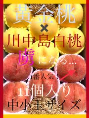予約商品　８月下旬～9月上旬にかけ順次発送予定。　贅沢な詰め合わせ♪ 至極の黄金桃×王様・川中島白桃 アソート！食べ比べに♪