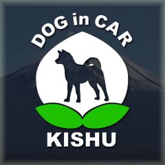 紀州犬のドッグインカーかわいい桃ちゃんの白色ステッカー‼︎
