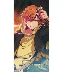 【中古】キャラカード 東雲彰人 箔押しイラストカード 「プロジェクトセカイ カラフルステージ! feat. 初音ミク サマーフェア2022 in アニメイト」 対象商品購入特典