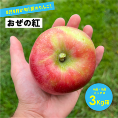 優しい甘さの果汁が溢れる！ 8月収穫 幻のリンゴ 「おぜの紅3キロ箱A品B品」長野県産 安曇野 信州産 幻