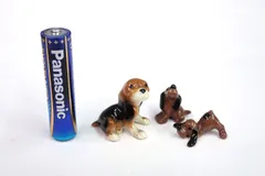 2025年最新】ヘイゲンリネカーの人気アイテム - メルカリ