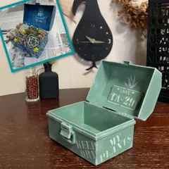 工具箱寄せ 🧰 リメイク鉢 (KEEP DRY)  ナチュラルミント＊リメ缶  リメイク缶 リメイク箱  多肉  ハンドメイド