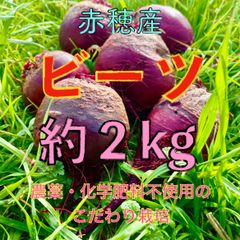 農薬不使用栽培 ビーツと葉っぱ 2キロ - メルカリ