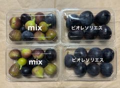 西洋いちじく　クール便