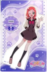 【中古】アクリルスタンド・アクリルパネル 犬飼いろは(制服) 「わんだふるぷりきゅあ! ミニアクリルスタンド Vol.2」