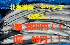北海道産　生さんま　1箱43尾入　3870円　1尾90円